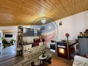 Casa cu teren generos/de vanzare/com Leu, Dolj - imagine 13