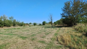 Terenuri pentru investiții in Copaceni, Ilfov   oportunitate rară, cu potențial de profit ridicat - imagine 4