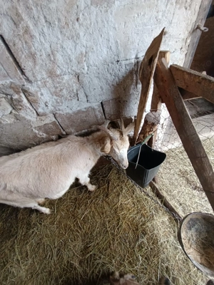 vind 2 iede de anu trecut 