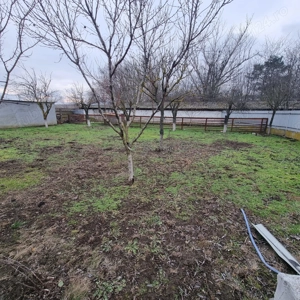 Casă de vânzare în Țăndărei - imagine 4