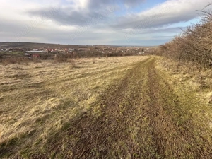 Teren Maderat Pancota Jud Arad - imagine 3