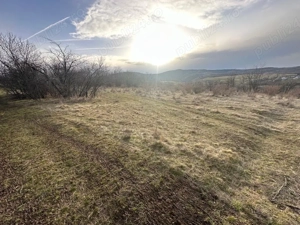 Teren Maderat Pancota Jud Arad