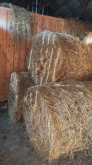 Baloti de vanzare, mici si mari