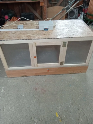 Maternitate pui de o zi  - imagine 5