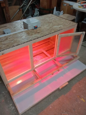 Maternitate pui de o zi  - imagine 2