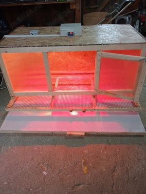 Maternitate pui de o zi  - imagine 3