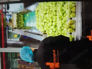 Angajam urgent cupluri in Austria 