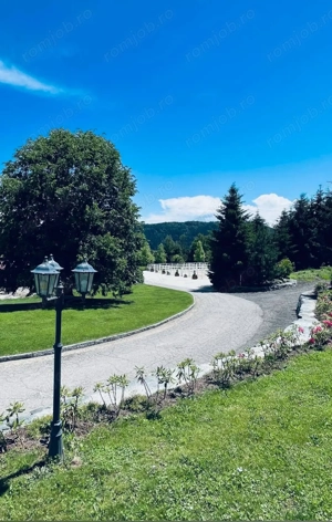 Angajăm Cuplu cu Experiență pentru Fermă de Cai (13 cai)