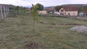 teren intravilan de vanzare - imagine 2