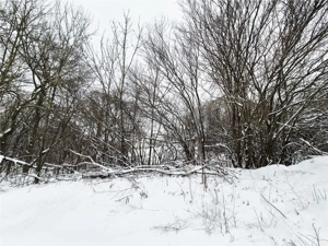 Teren pentru casa cu vedere frumoasa - imagine 3