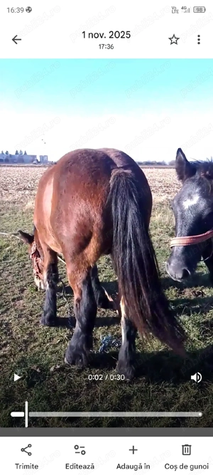 vand sau schimb  - imagine 3