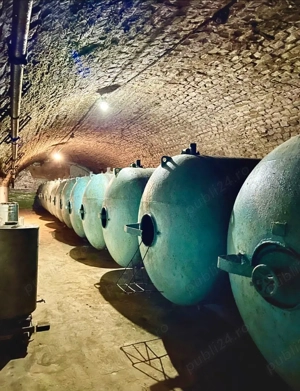 Unitate de producție cu potențial de restructurare + teren - imagine 3