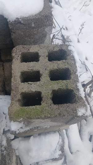 bolțari de vânzare  - imagine 4