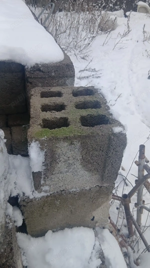 bolțari de vânzare  - imagine 3