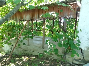 Teren extravilan  cu casuta vie si livada la 15 min. de baile Tasnad - imagine 9