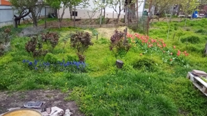 Dau in chirie teren, gradina, casa Str Colinelor - imagine 5