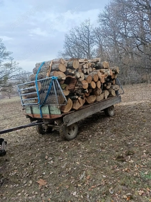 Remorca basculabila 5 tone - imagine 2