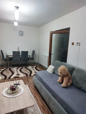 Proprietar - imagine 7