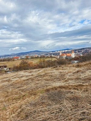 3 parcele de Teren 28.381 mp in Loc. Hunedoara, Jud. HD, Str. Urcusului langa Castelul Corvinilor. - imagine 4