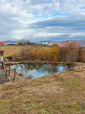 3 parcele de Teren 28.381 mp in Loc. Hunedoara, Jud. HD, Str. Urcusului langa Castelul Corvinilor. - imagine 3