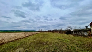 Vand teren intravilan Husasau de Tinca 2272 mp.