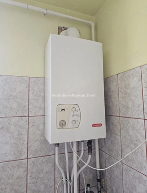 Apartament cu 2 camere,spațios,et 3,zona Favorit - imagine 4