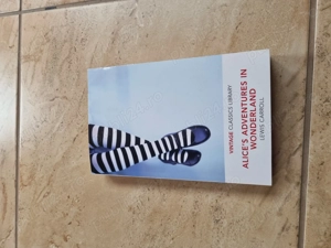 Alice in Wonderland   English edition (Vintage Classics)