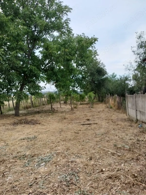 Vand casa 3 camere  - imagine 6