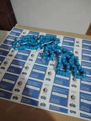 vând inele de porumbei voiajori  - imagine 3