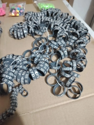 vând inele de porumbei voiajori  - imagine 2