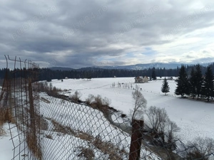 Casa 3 camere 172mp in Poiana Stampei, 3900 mp teren intravilan - imagine 7