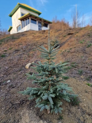 Casa de vacanta schimb - imagine 7