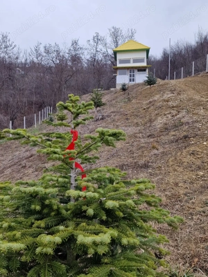 Casa de vacanta schimb - imagine 8