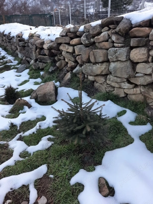 Casa de vacanta schimb - imagine 5