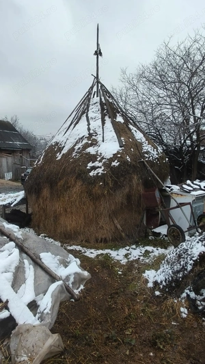 De vânzare claie de fân  - imagine 2