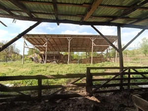 De vânzare grajd pentru animale sau depozitare  - imagine 4