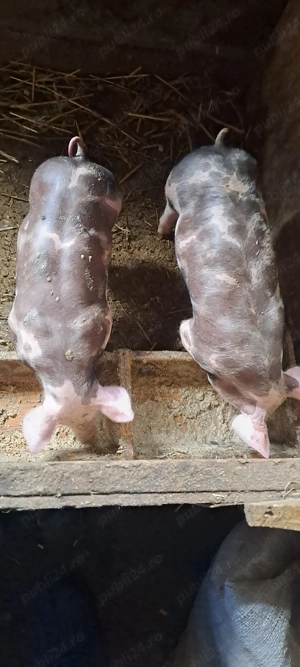 De vanzare! - imagine 2