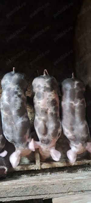 De vanzare! - imagine 4