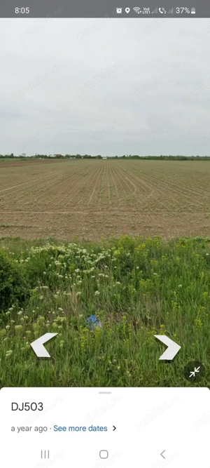 DJ503, Purani de sus,  Siliștea, Videle,  Teleorman