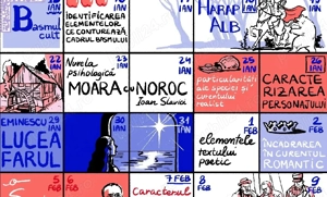 Meditații Limba Romană- Bac