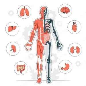 Meditații Biologie- Bac