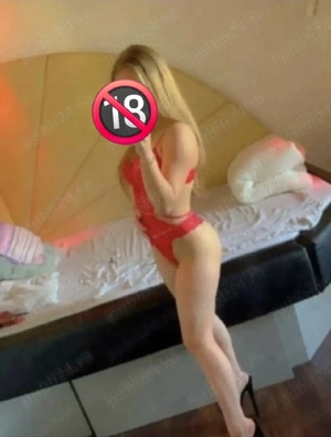 Drumul taberei te aștept 