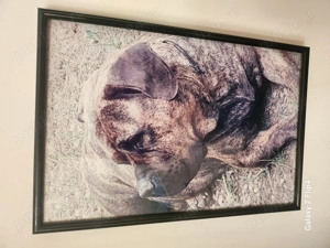 Ofer servicii menaj În București  - imagine 4