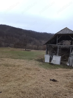Casă+Teren Măleni,jud Sălaj  - imagine 3