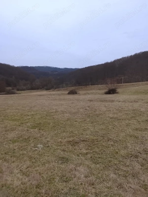 Casă+Teren Măleni,jud Sălaj  - imagine 8