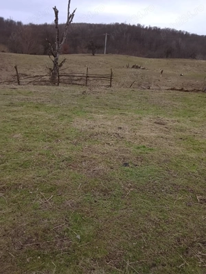 Casă+Teren Măleni,jud Sălaj  - imagine 5