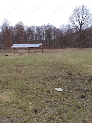 Casă+Teren Măleni,jud Sălaj  - imagine 4