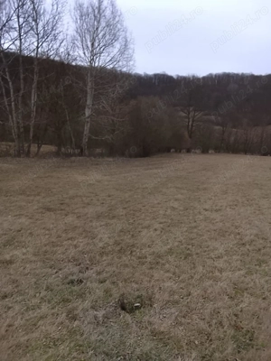 Casă+Teren Măleni,jud Sălaj  - imagine 2