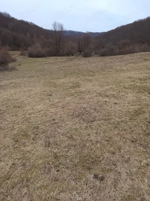 Casă+Teren Măleni,jud Sălaj  - imagine 6