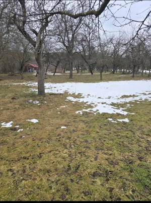 Casa  pentru vânzare in VLAHA cu 2400 mp teren aferent-PRET 205 000 EURO. - imagine 6